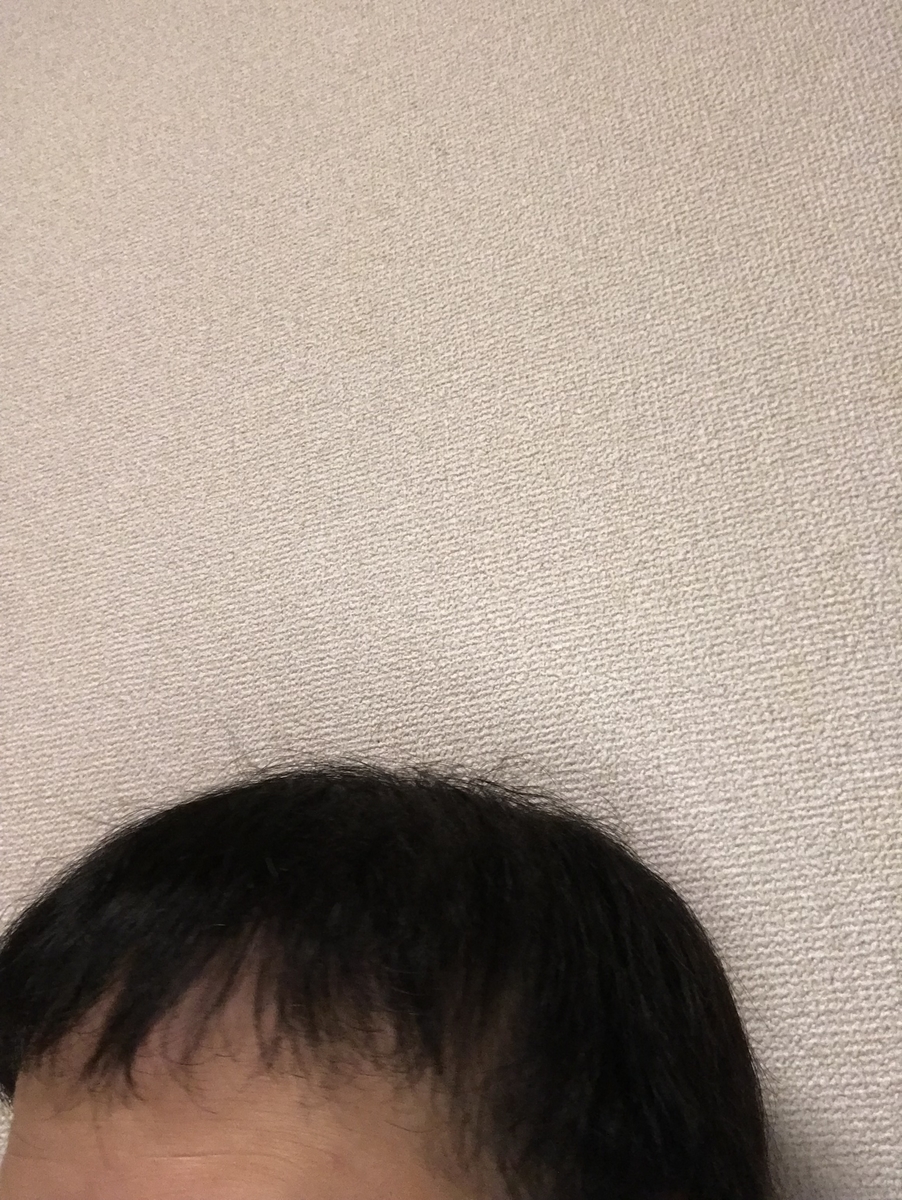 f:id:tak1783:20190330115106j:plain