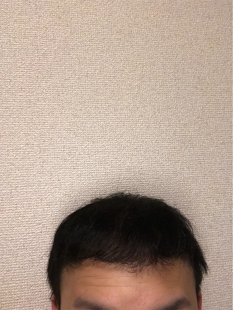 f:id:tak1783:20190530225145j:image