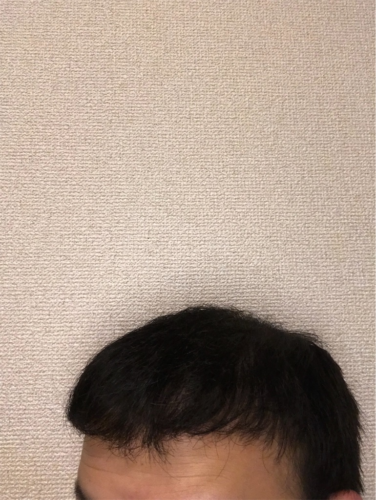 f:id:tak1783:20190530225156j:image
