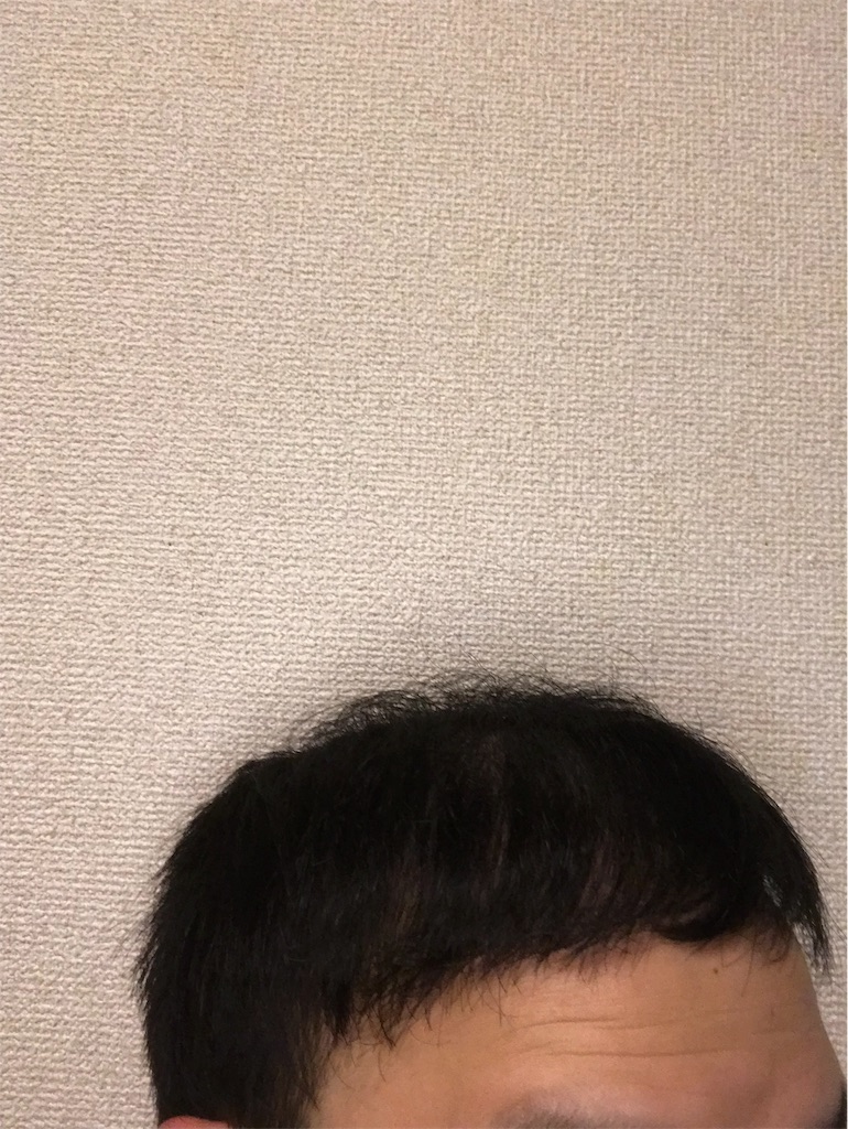 f:id:tak1783:20190630014845j:image