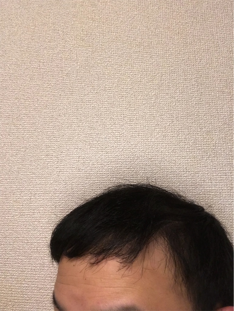 f:id:tak1783:20190630014856j:image