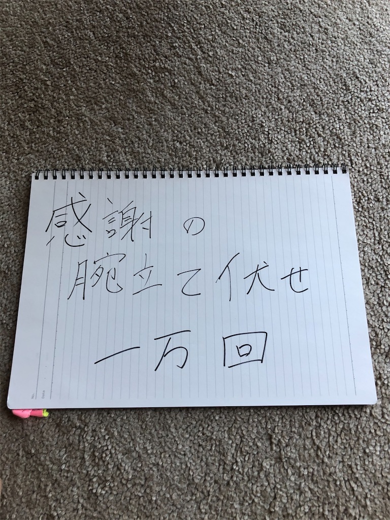 f:id:tak1989takuya:20200914183327j:image f:id:tak1989takuya:20200914183327j:image
