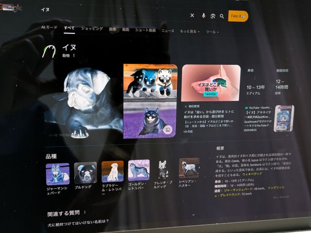 Macの反転後
