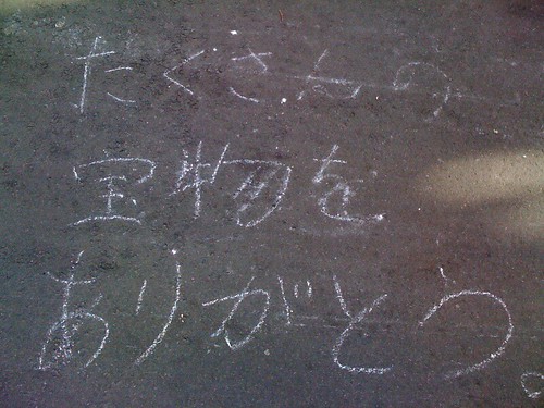 photo.jpg