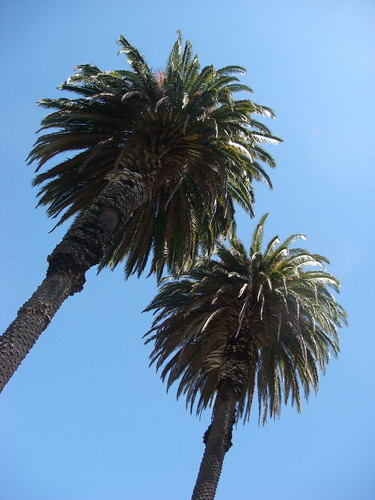 DSC09400