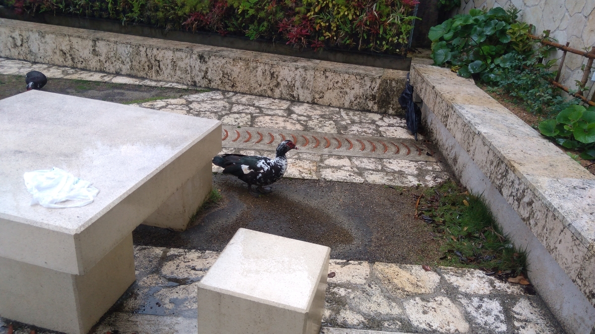 f:id:tak_tetsu:20200314103717j:plain