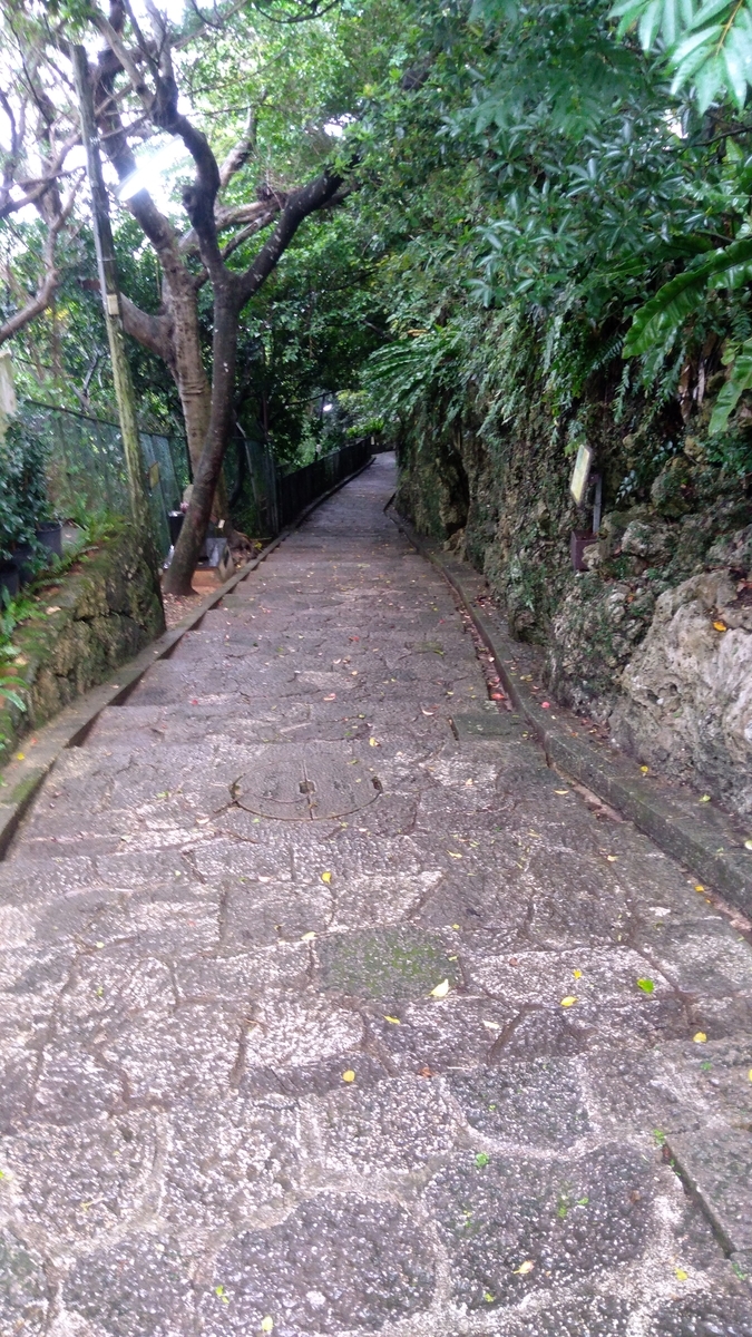 f:id:tak_tetsu:20200314111345j:plain