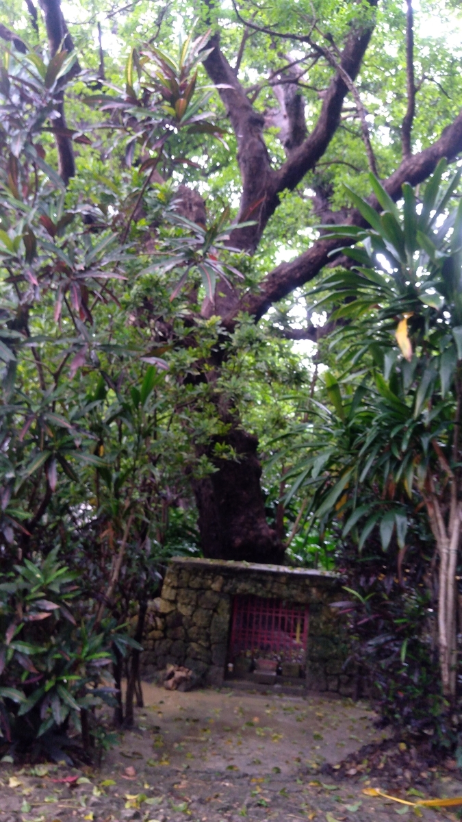 f:id:tak_tetsu:20200314112300j:plain