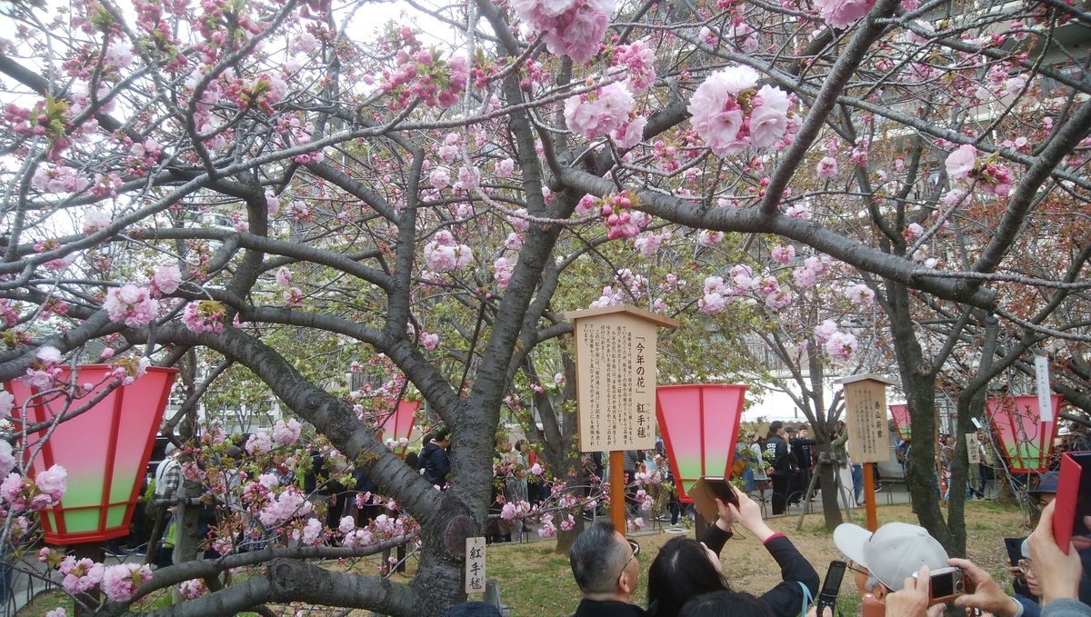 f:id:tak_tetsu:20200410123020j:plain