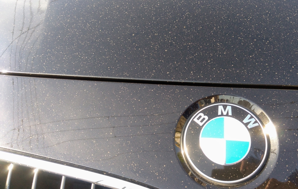 f:id:tak_tetsu:20200607124444j:plain