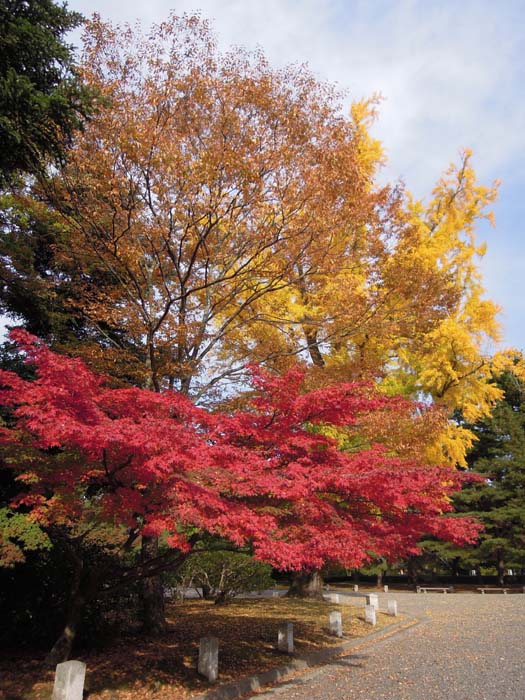 f:id:taka-an:20121113230203j:image:w640