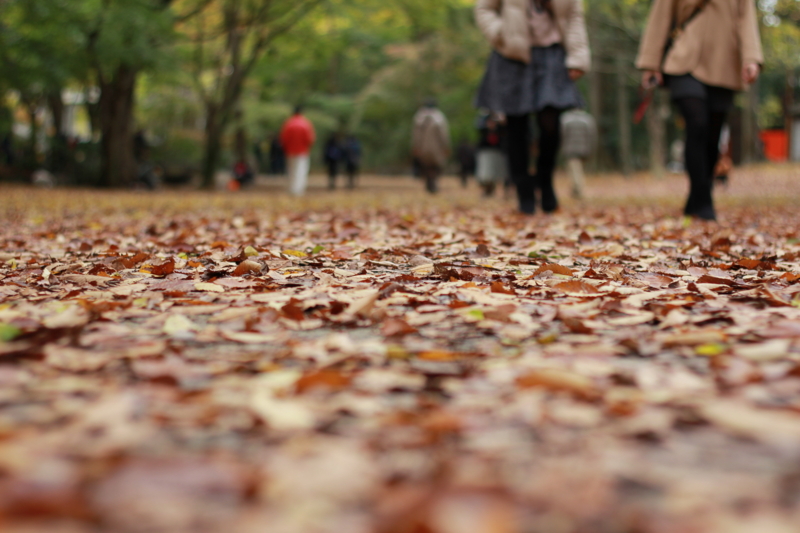 f:id:taka-an:20121124123204j:image:w640