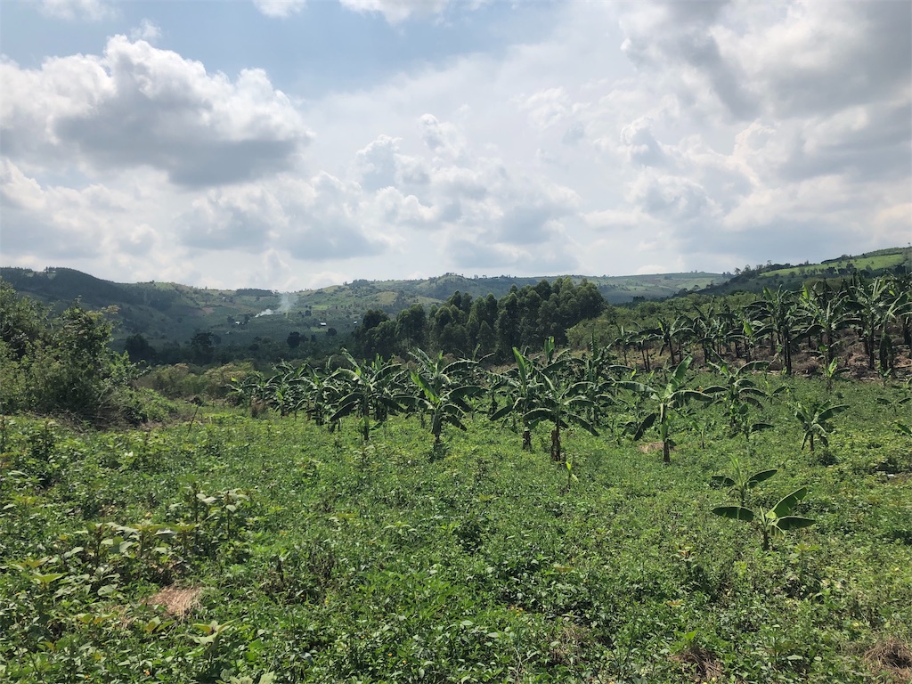 f:id:taka-juun:20190924150735j:image