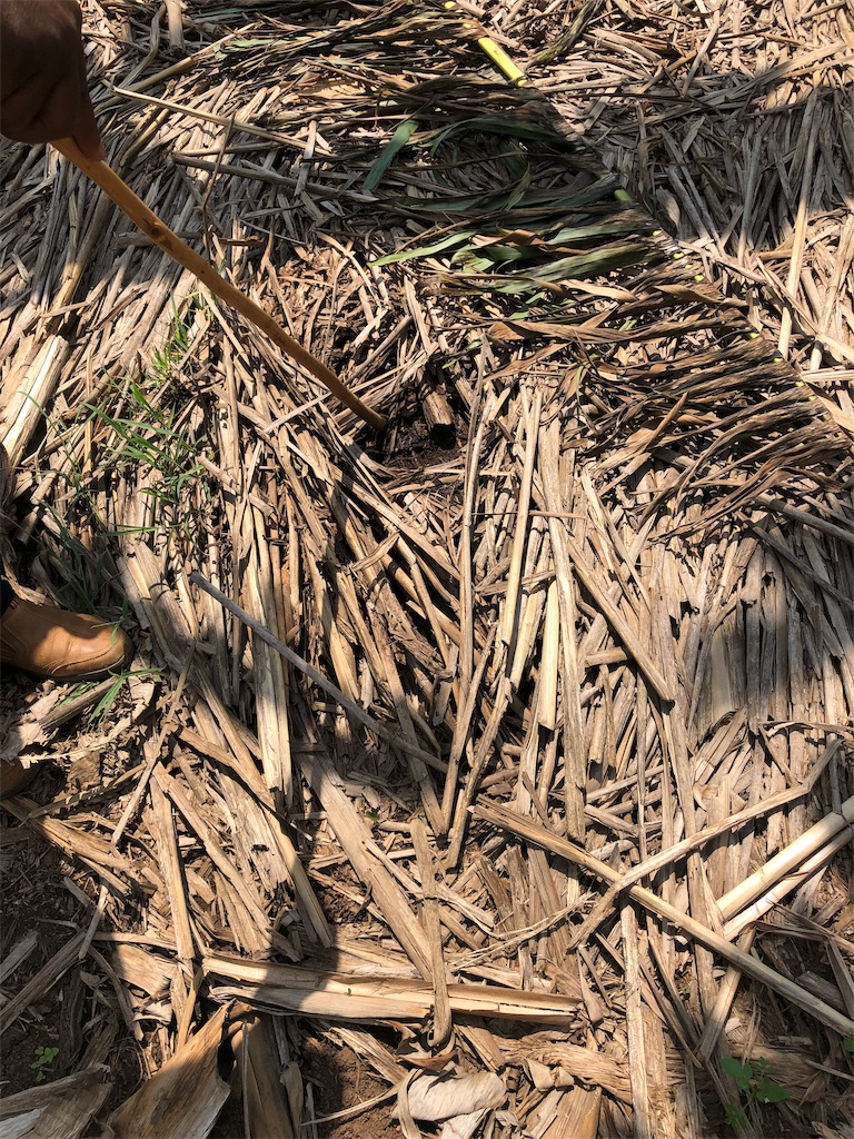 f:id:taka-juun:20190924153557j:image