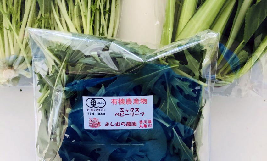 f:id:taka-malu:20210204220355j:plain