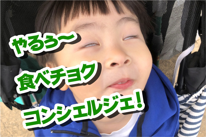 f:id:taka-malu:20210204223059j:plain