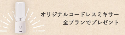 f:id:taka-malu:20210415174331j:plain