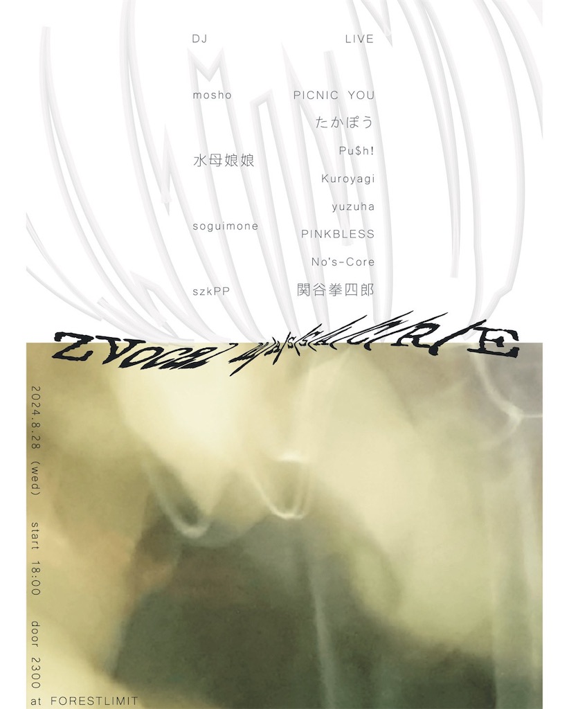 f:id:taka-pou:20241231134629j:image