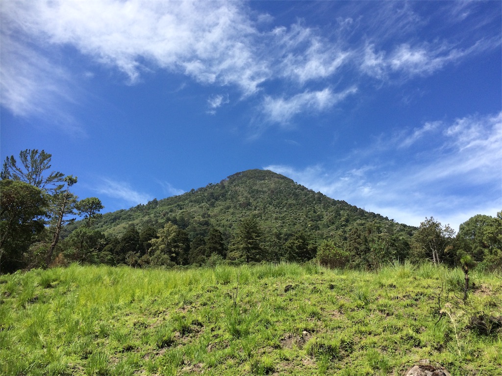 f:id:taka-shikao:20180721013448j:image f:id:taka-shikao:20180721013448j:image
