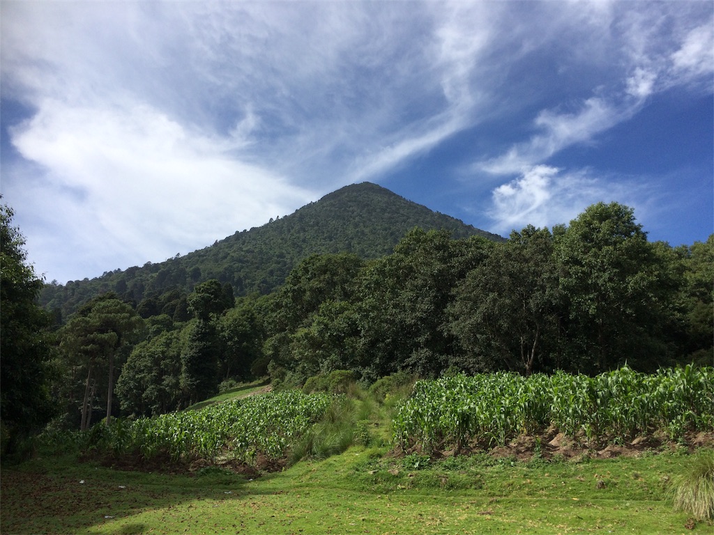 f:id:taka-shikao:20180721013701j:image f:id:taka-shikao:20180721013701j:image