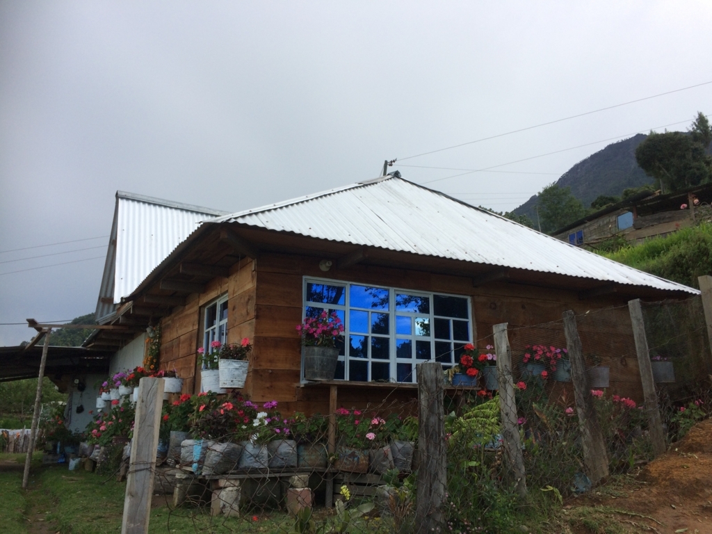 f:id:taka-shikao:20180729074407j:plain f:id:taka-shikao:20180729074407j:plain