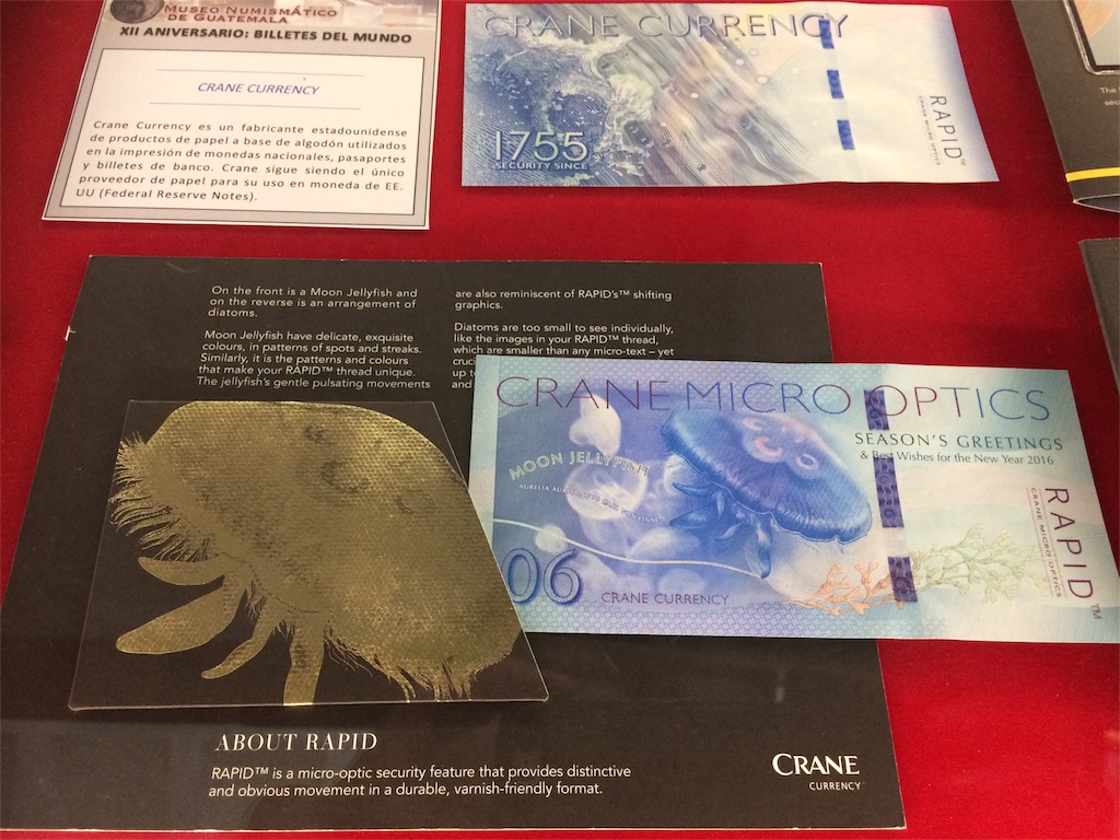 f:id:taka-shikao:20180801004517j:image