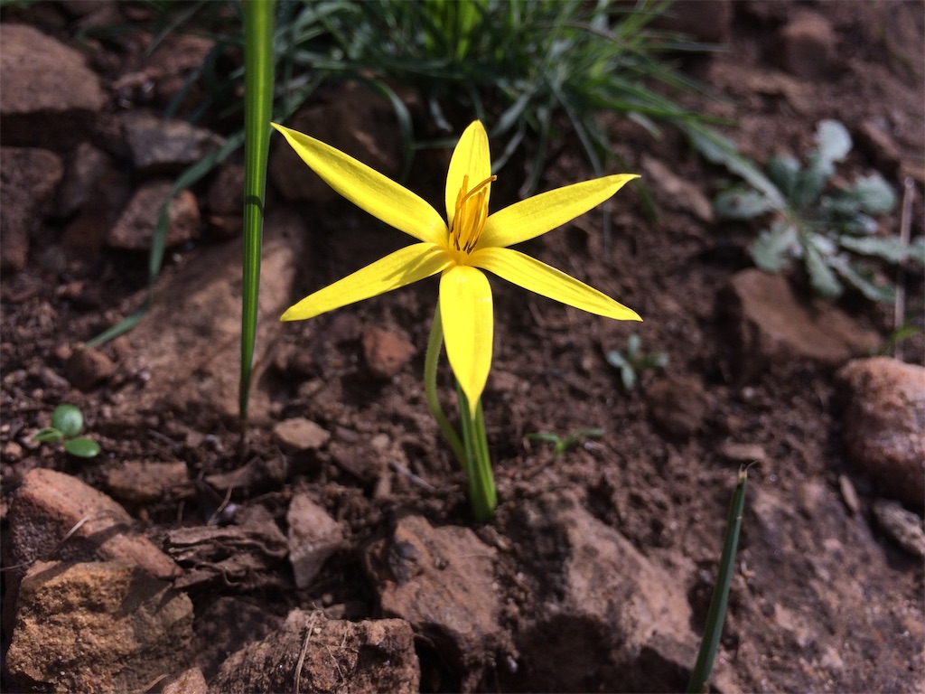 f:id:taka-shikao:20190515173653j:image f:id:taka-shikao:20190515173653j:image