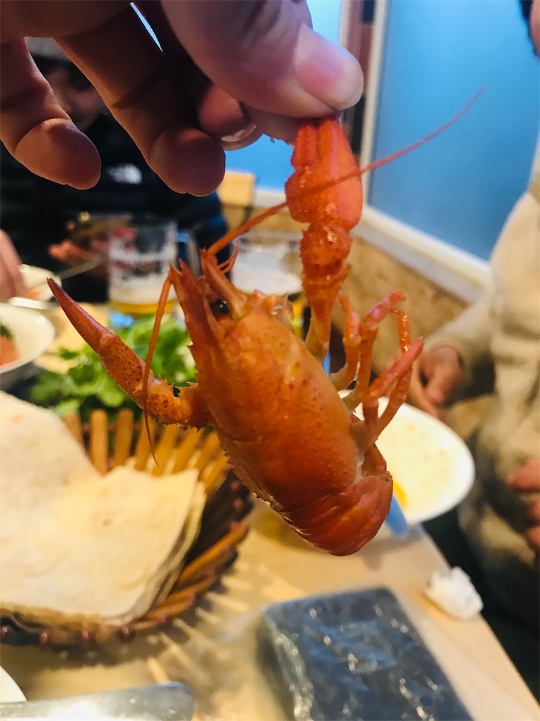 f:id:taka-shikao:20200203045131j:plain f:id:taka-shikao:20200203045131j:plain