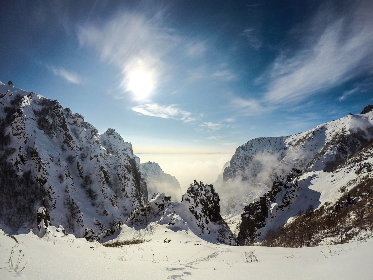 f:id:taka-shikao:20200424230300j:plain f:id:taka-shikao:20200424230300j:plain