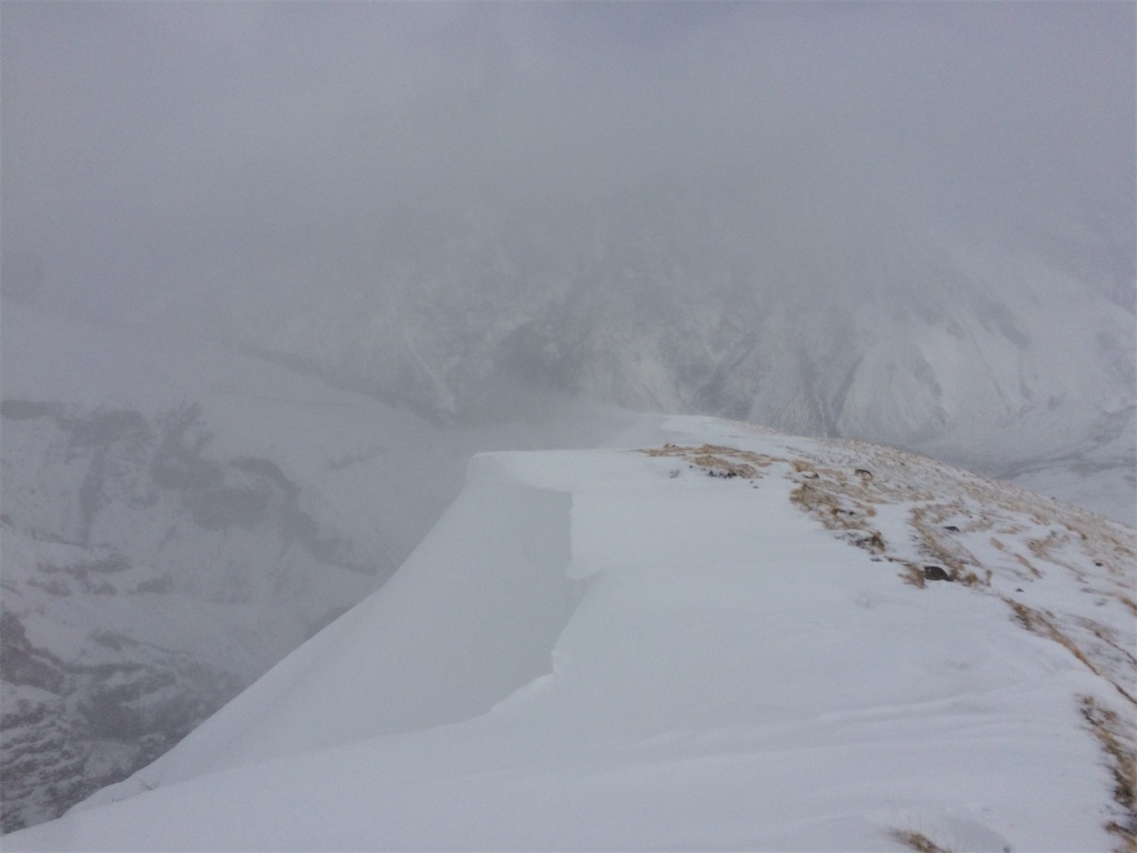 f:id:taka-shikao:20200425033455j:plain f:id:taka-shikao:20200425033455j:plain