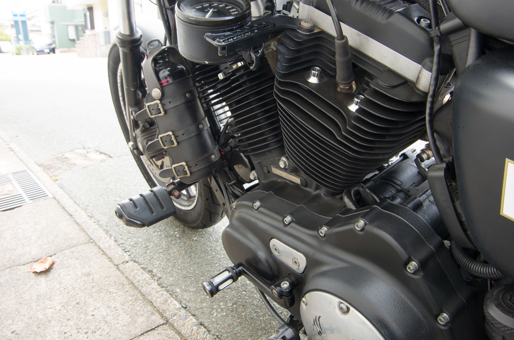 f:id:taka-xl883n:20180902131155j:plain