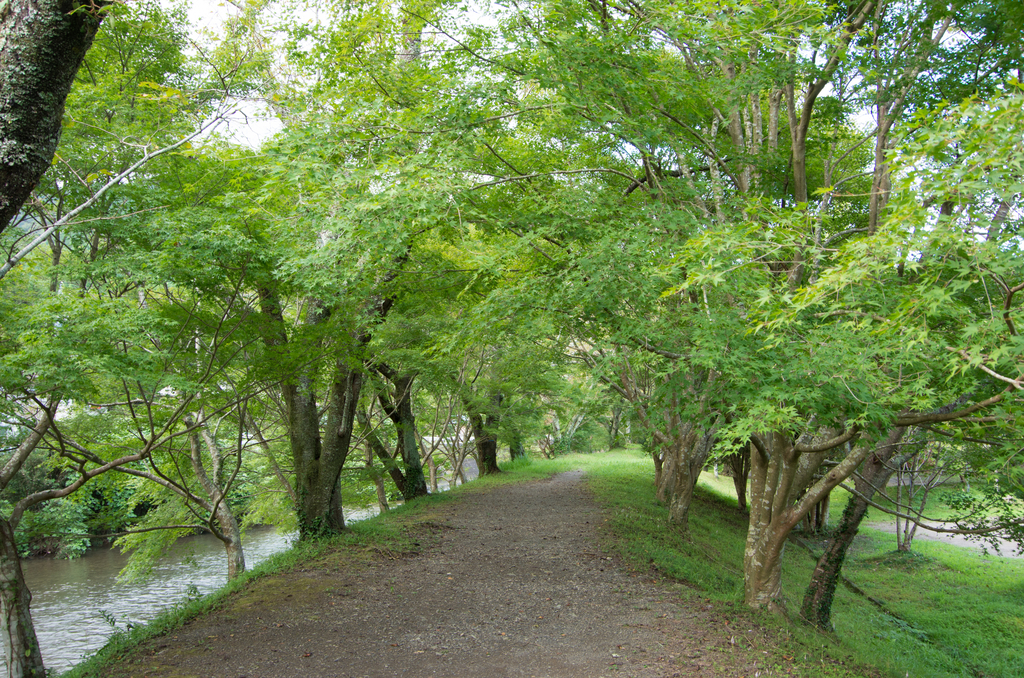 f:id:taka-xl883n:20180910132930j:plain