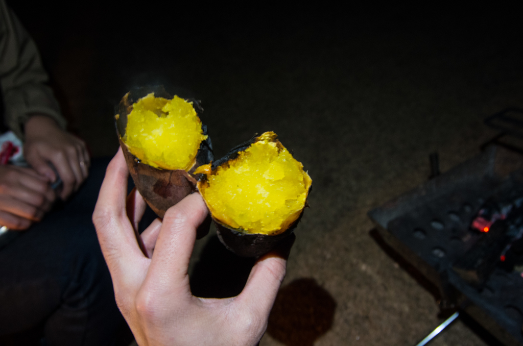 f:id:taka-xl883n:20190107193932j:plain f:id:taka-xl883n:20190107193932j:plain