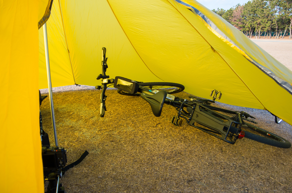 f:id:taka-xl883n:20190128082103j:plain