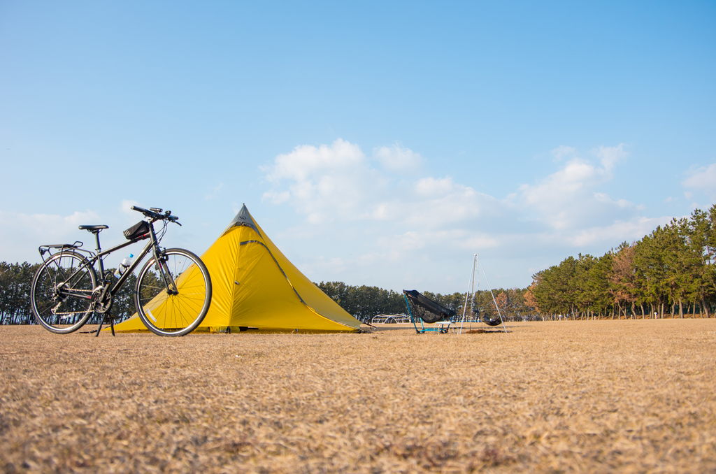 f:id:taka-xl883n:20190128082109j:plain