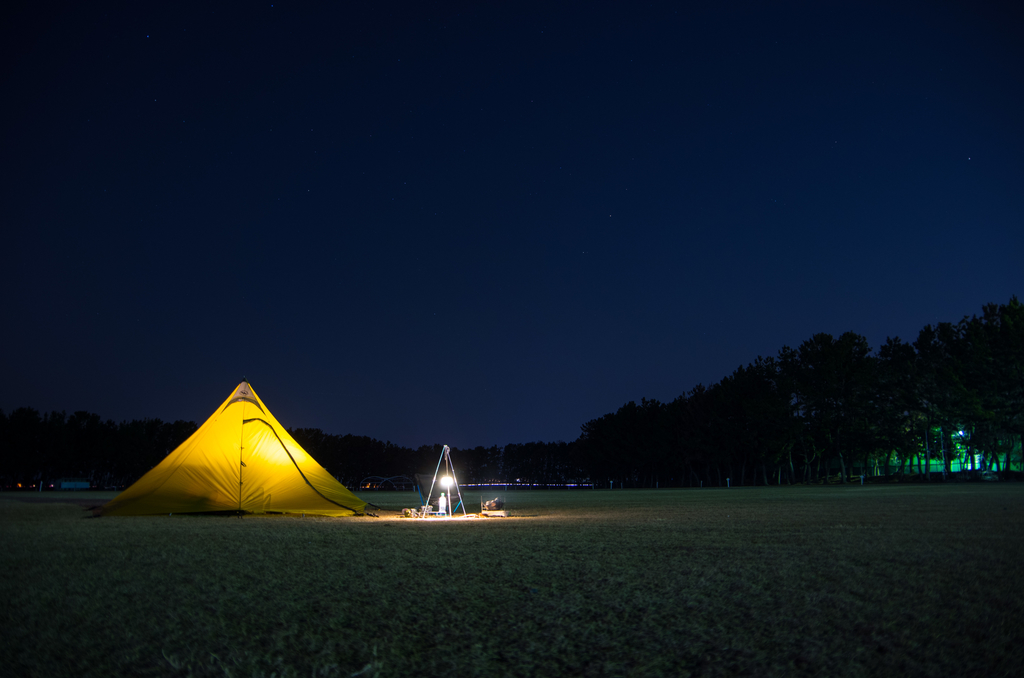 f:id:taka-xl883n:20190128082148j:plain