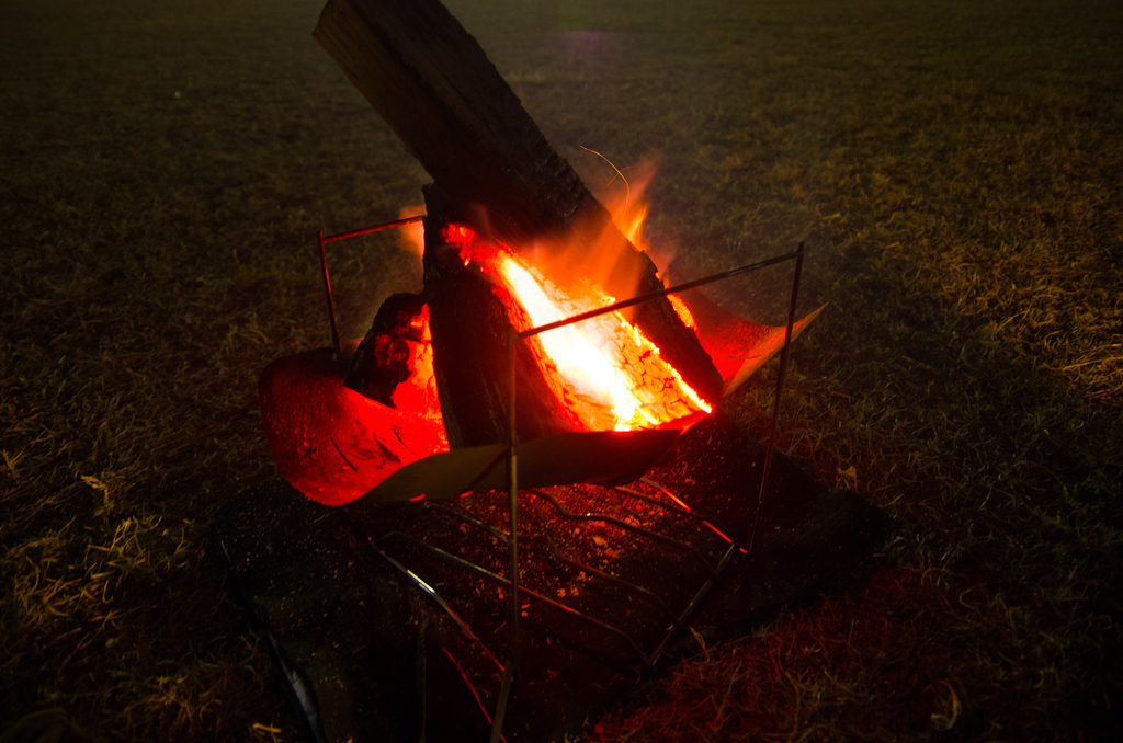 f:id:taka-xl883n:20190128082158j:plain