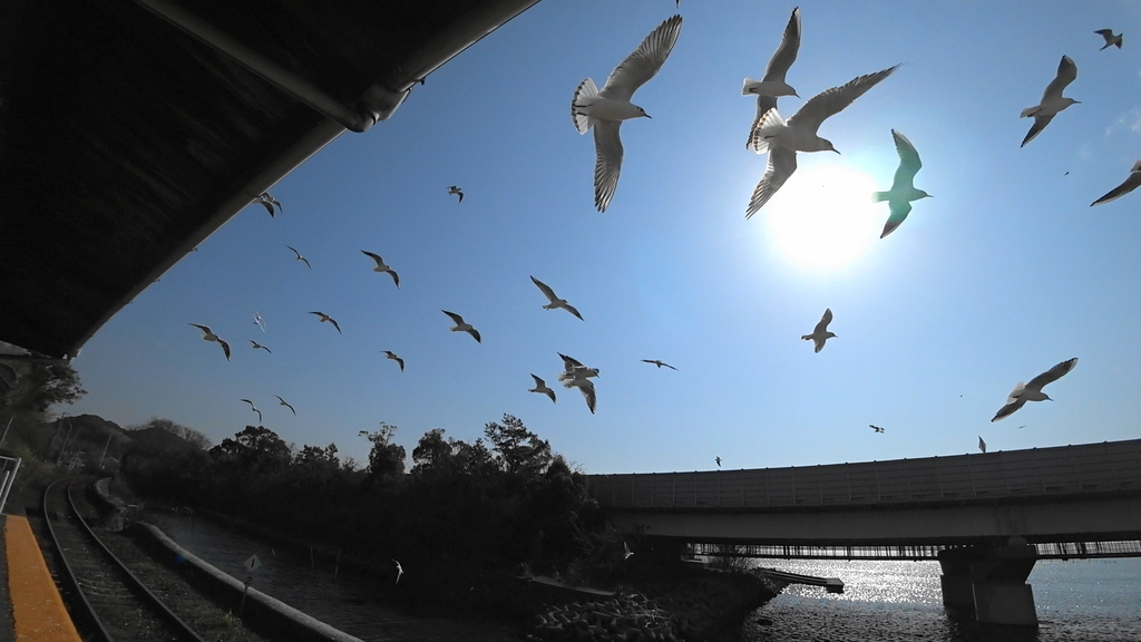 f:id:taka-xl883n:20190128093008j:plain