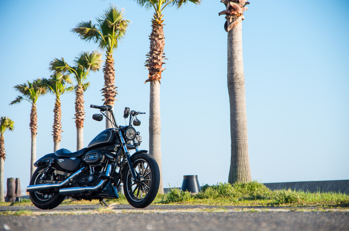 f:id:taka-xl883n:20190417150834j:plain f:id:taka-xl883n:20190417150834j:plain