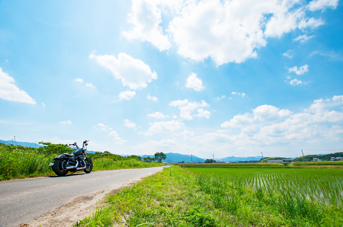 f:id:taka-xl883n:20190608213835j:plain