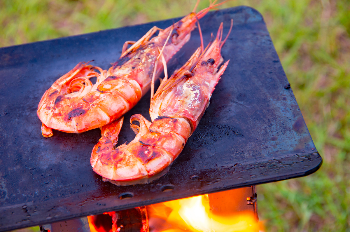 f:id:taka-xl883n:20190627192140j:plain f:id:taka-xl883n:20190627192140j:plain