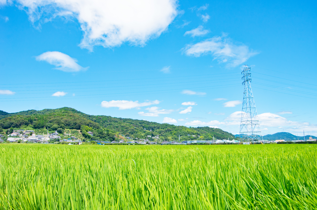 f:id:taka-xl883n:20190814071559j:plain f:id:taka-xl883n:20190814071559j:plain