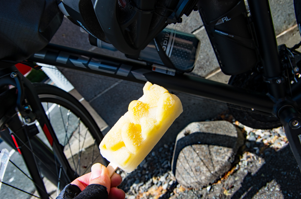 f:id:taka-xl883n:20190814080118j:plain f:id:taka-xl883n:20190814080118j:plain