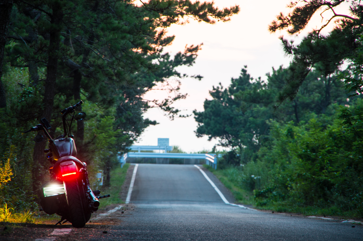 f:id:taka-xl883n:20190821041123j:plain f:id:taka-xl883n:20190821041123j:plain