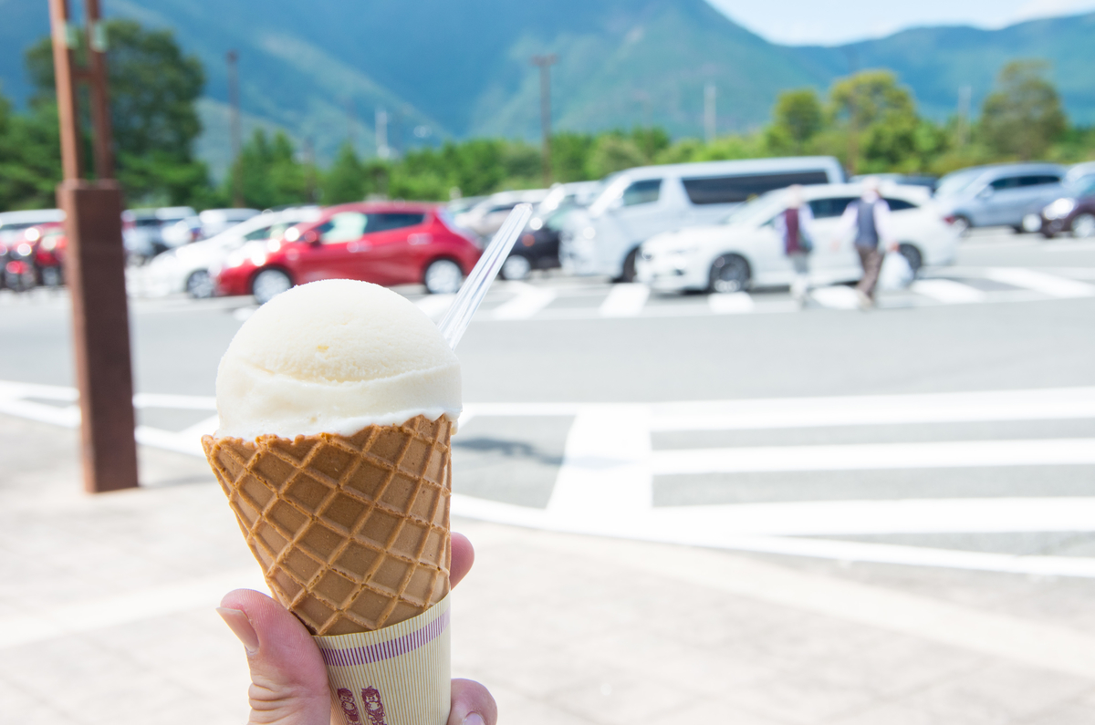 f:id:taka-xl883n:20190903101733j:plain