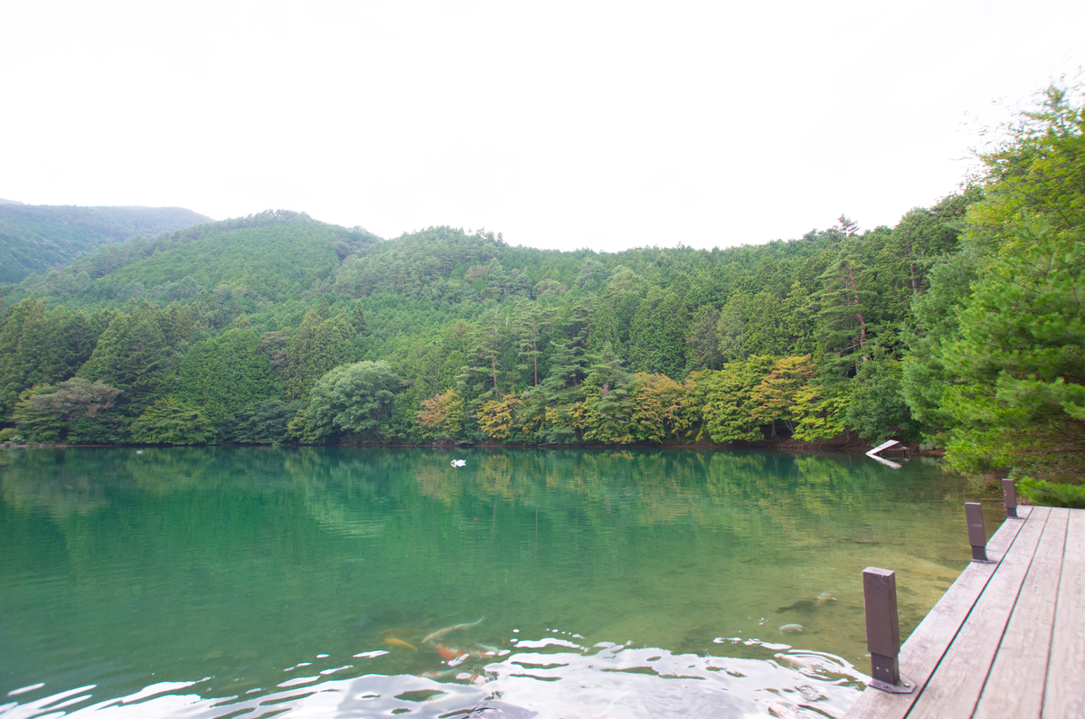 f:id:taka-xl883n:20190903110938j:plain