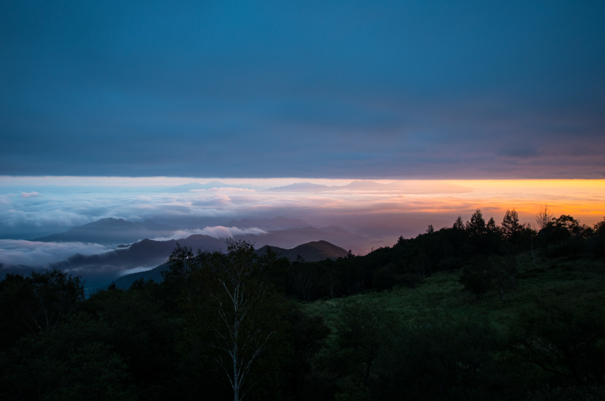 f:id:taka-xl883n:20190917084958j:plain f:id:taka-xl883n:20190917084958j:plain