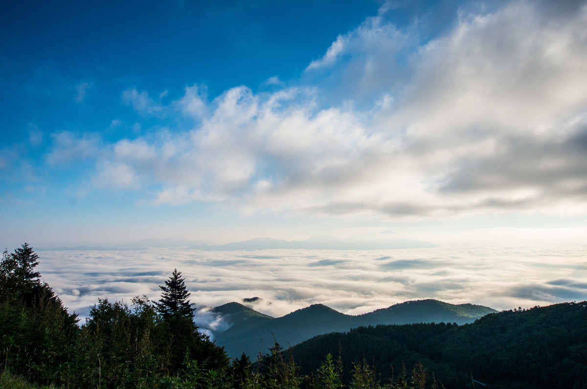 f:id:taka-xl883n:20190917090928j:plain f:id:taka-xl883n:20190917090928j:plain