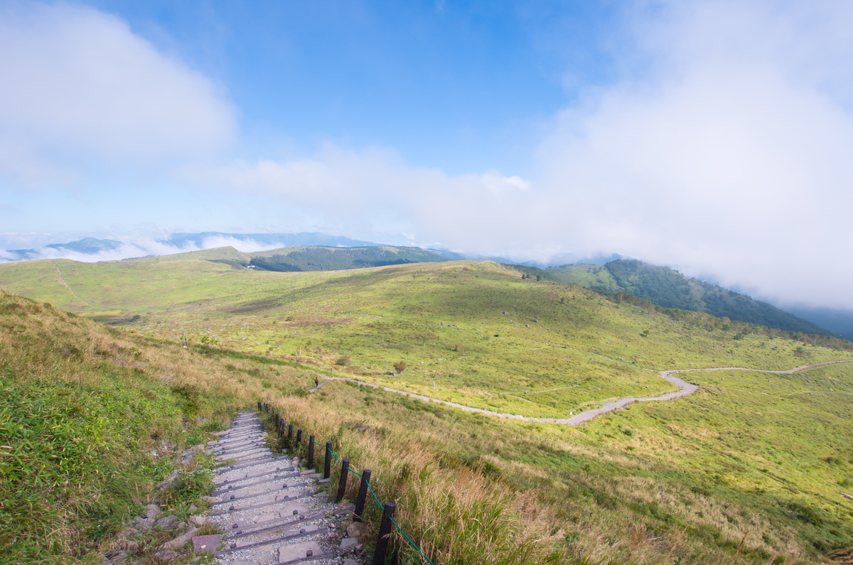 f:id:taka-xl883n:20190917101152j:plain f:id:taka-xl883n:20190917101152j:plain