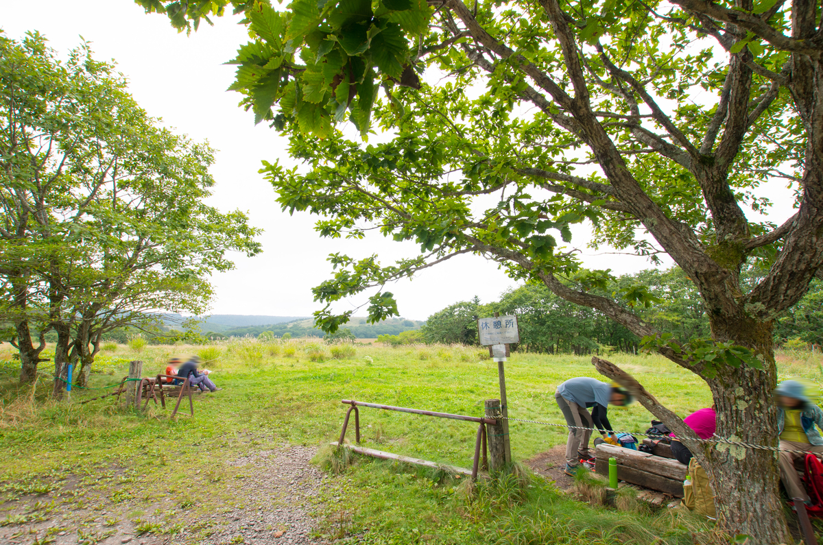 f:id:taka-xl883n:20190917103032j:plain f:id:taka-xl883n:20190917103032j:plain